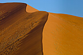 Sand dune, Sossusvlei, Namib-Naukluft National Park, Namibia