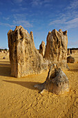 Eroded limestone pinnacles, Pinnacle Desert, Nambung National Park, Western Australia, Australia