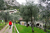 San Pietro in Limone, Lake Garda, Trentino, Italy