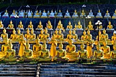 Golden Buddha near Pakse,South Laos,Southeast Asia.
