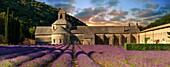 The 12th century Romanesque Cistercian Abbey of Notre Dame of Senanque ( 1148 ) set amongst the flowering lavender fields of Provence near Gordes, France.
