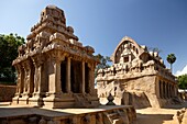 The Five Rathas Group, Mahabalipuram, UNESCO World Heritage Site, Near Chennai, Tamil Nadu state, India, Asia.