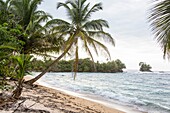 Beautiful beaches on the island of red Frog Beach resort in Bocas del Toro.