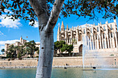 Kathedrale der Heiligen Maria, Almudaina Palast, Palma de Mallorca, Mallorca, Spanien