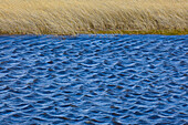 Small waves on alpine pond in spring, Torres del Paine National Park, Patagonia, Chile
