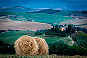 Val d'Orcia landscape during a summer evening, San Quirico, Tuscany, Italy