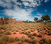 Purnululu National Park, bush landscape, Northern Territory, Australia