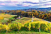 The heartshaped road at sunset. Spicnik, Kungota, Drava region, Slovenia.