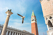 St Mark's Basilica, St Mark's Square, Venice, Veneto, Italy