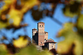 Langhe, Cuneo district, Piedmont, Italy, Europe. Serralunga d'Alba wine region
