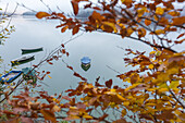 Boats on Sylvenstein Lake framed by beech leaves. Bad Tölz-Wolfratshausen district, Bavaria, Germany.