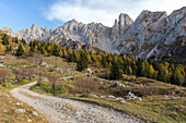 Trail to the Cimone della Bagozza And Campelli di Schilpario, Schilpario, Val di Scalve, Bergamo district, Lombardy, Italy, Southern Europe.