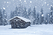 Old mountain barn under a copious snowfall, Ansiei valley, Auronzo di Cadore, Dolomites, Belluno, Veneto, Italy
