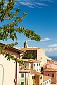 Old town and bell tower, Poggio, Marciana, Elba Island, Livorno Province, Tuscany, Italy
