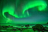 Beach with polar lights and stary sky, northern lights, aurora borealis, Lofoten, Nordland, Norway