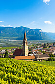 Termeno,Bolzano province,Trentino Alto Adige,Italy Views of the vineyards and the church of Saints Quirico and Giulitta.