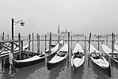 Some traditional venetian gondolas moored at Riva degli Schiavoni during a snowfall, Venice, Veneto, Italy