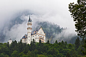 Neuschwanstein Castle, Schwangau, Ostallgäu, Schwaben district, Bavaria, Germany, Europe