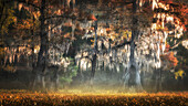 Atchafalaya river, Plaquemine,Atchafalaya Basin, Louisiana, Southern United States, USA, North America