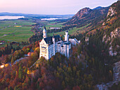 Neuschwanstein Castle in Autumn aerial view Europe, Germany, Bavaria, southwest Bavaria, Fussen, Schwangau