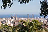 Overview of the city and skyscrapers, Barcelona, Catalonia, Spain