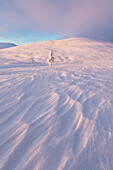 Sunset on snowy landscape, Pallas-Yllastunturi National Park, Muonio, Lapland, Finland