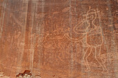 Ancient petroglyphs and modern day cowboy rock art near Neon Canyon, Grand Staircase-Escalante National Monument, Utah