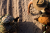African Lion (Panthera leo) trackers, Timbo Frackson and Christopher Muduwa, with biologist Jake Overton, looking at female lion tracks during transect, Kafue National Park, Zambia