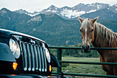 Car parked beside horse standing behind fence and looking at camera, Colorado, USA
