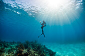 Diver surfacing after spearfishing underwater, Clarence Town, Long Island, Bahamas