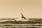 Professional windsurfer jumping over wave, El Cabezo, Tenerife, Canary Islands, Spain