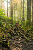 Rear view of female backpacker walking through forest while hiking along West Coast Trail, Pacific Rim National Park on Vancouver Island, British Columbia, Canada