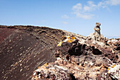 Barbary ground squirrel (Atlantoxerus getulus), crater of Calderon Hondo volcano, La Oliva, Fuerteventura, Canary Islands, Spain
