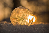 Close up of a single frozen soap bubble against sun at sunset