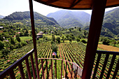 Shervashidze Wine Cellar bei Keda am Fluß Acharistskali, kleiner Kaukasus, Georgien