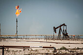 gas flares and oil well in operation in an oil field in the bahrain desert, oil deposit, petroleum business, kingdom of bahrain, persian gulf, middle east
