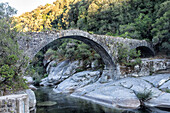 16th century genoese bridge called the abra bridge, petreto-bicchisano, valley of the taravo, southern corsica, france