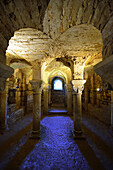 Europe, France, vertical view of the Curzon crypt in Vendee