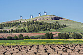 Spain, La Mancha region, campo de criptana area, Windmills.