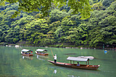 Japan, Kyoto City, Arashiyama Mountain, Oi River,boat