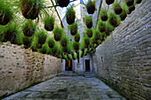 Europe, France, courtyard and decoration in Vannes in the Morbihan