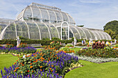 England, London, Richmond, Kew Gardens, Palm House