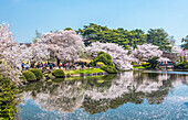 Japan, Tokyo city, Shinjuku district,Shinjuku Gyoen Park