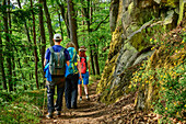 Three persons hiking through forest, Albsteig, Black Forest, Baden-Wuerttemberg, Germany