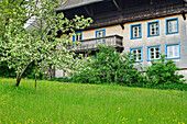 Schwarzwaldhaus, Bernau-Dorf, Albsteig, Schwarzwald, Baden-Württemberg, Deutschland