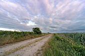 Pathway, Sky, Dusk, Wulfen, Fehmarn, Baltic Sea, East-Holstein, Schleswig-Holstein, Germany, Europe