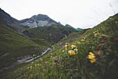 Wandergruppe im Lechtal,E5, Alpenüberquerung, 2. Etappe, Lechtal, Holzgau, Tirol, Österreich,Kemptner Hütte zur Memminger Hütte