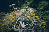 Abgebrochener Baum vor einem Wanderer,E5, Alpenüberquerung, 2. Etappe, Lechtal, Holzgau, Tirol, Österreich, Kemptner Hütte zur Memminger Hütte