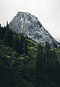 Waldabschnitt mit Gipfel im Hintergrund,E5, Alpenüberquerung, 3. Etappe, Seescharte, Inntal, Tirol, Österreich, Memminger Hütte zur Unterloch Alm