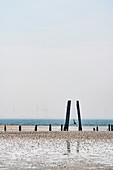 Pfähle im Watt bei Ebbe, Wangerooge, Ostfriesland, Niedersachsen, Deutschland